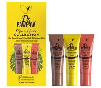 Dr.PAWPAW Mini Nude Lip Balm Gift Collection Rich Mocha Original and Peach Pink Tinted Multipurpose Balm 10ml - Pack of 3