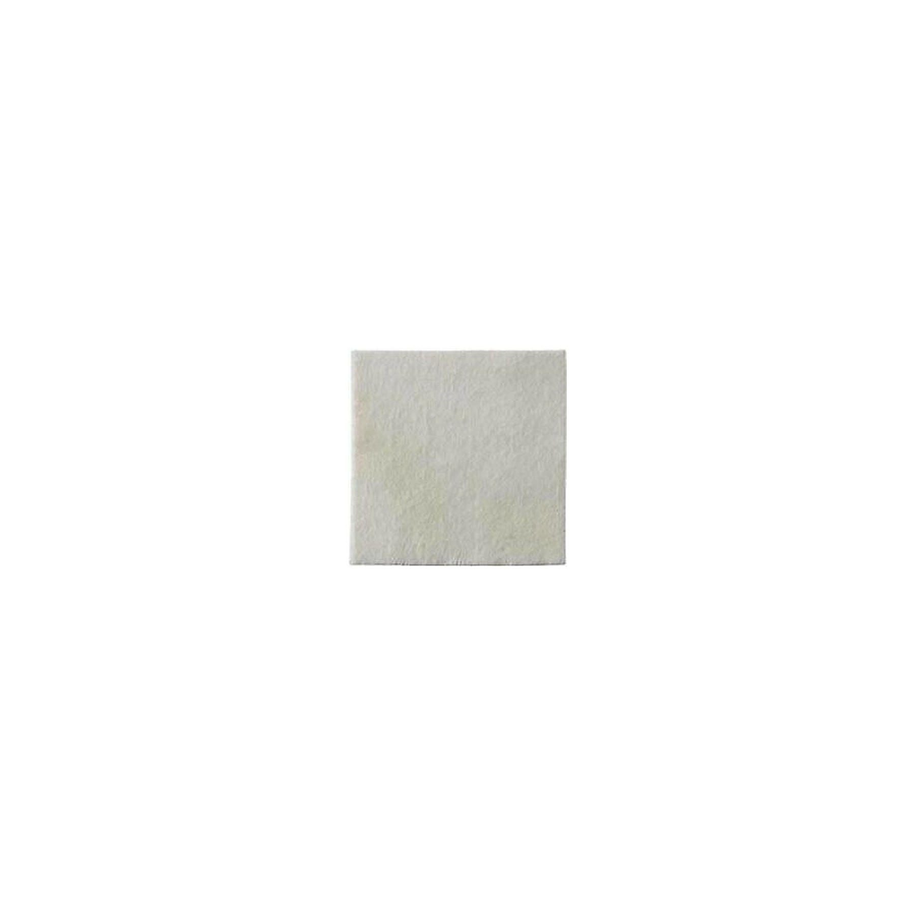 Biatain Alginate 10x10 10 Pieces