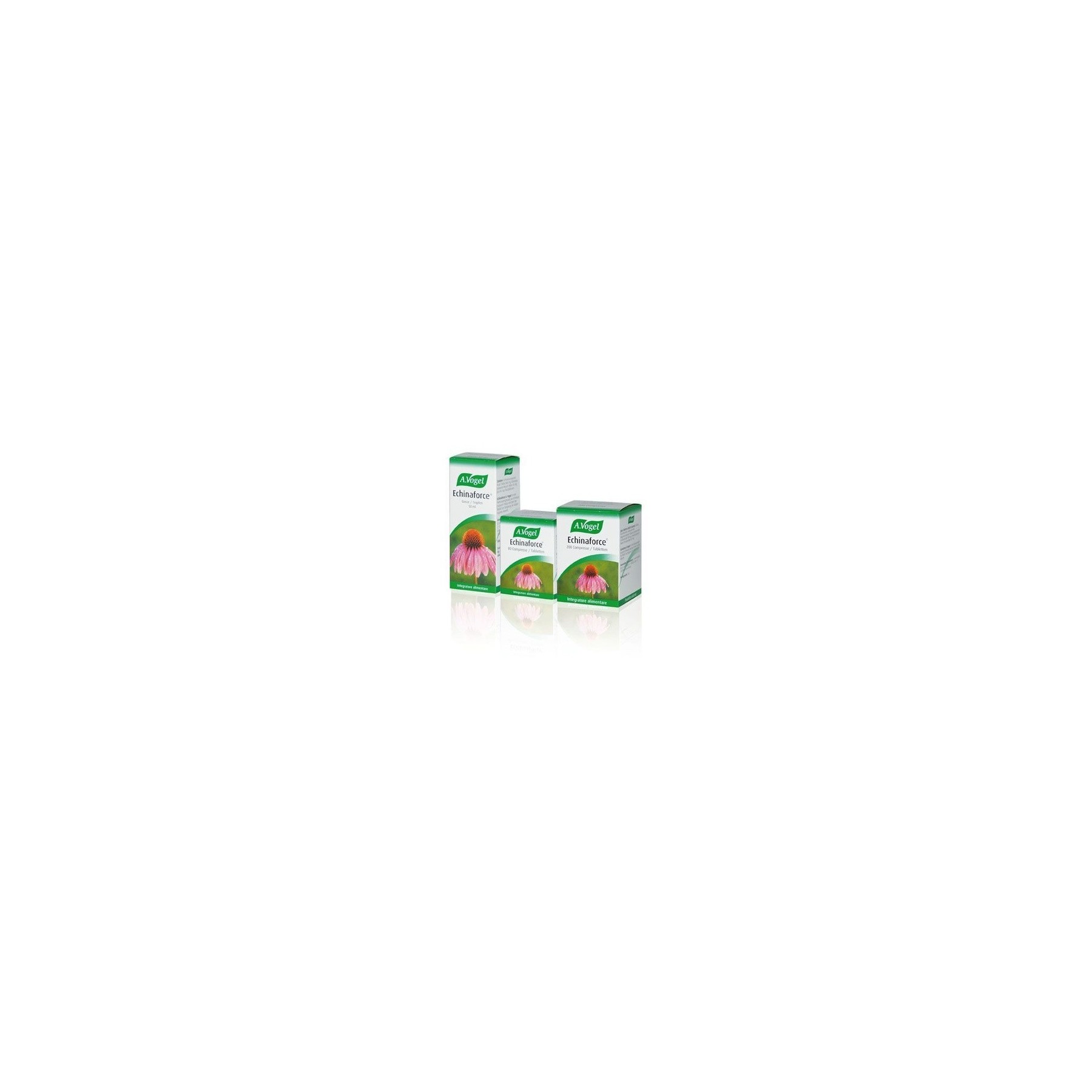 A. Vogel Echinaforce Dietary Supplement 200 Tablets