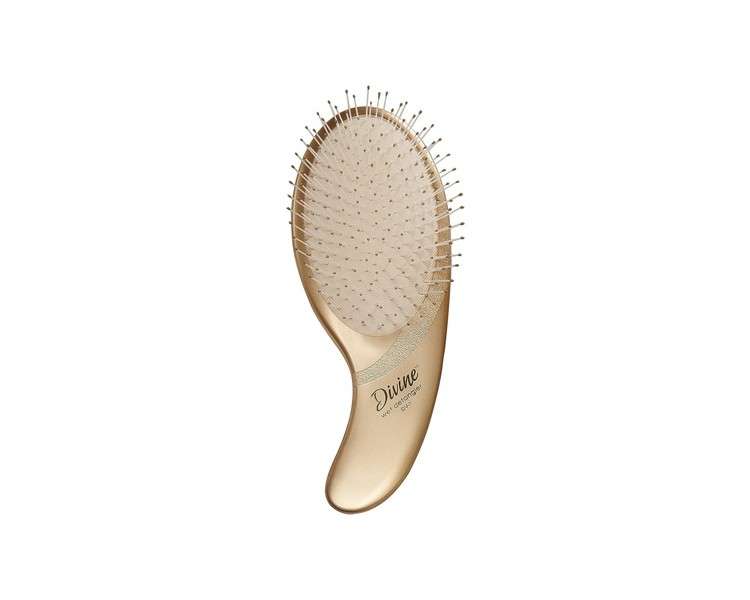 Olivia Garden Divine Wet Detangler Hair Brush Ergonomic Paddle with Memory-Flex Bristles