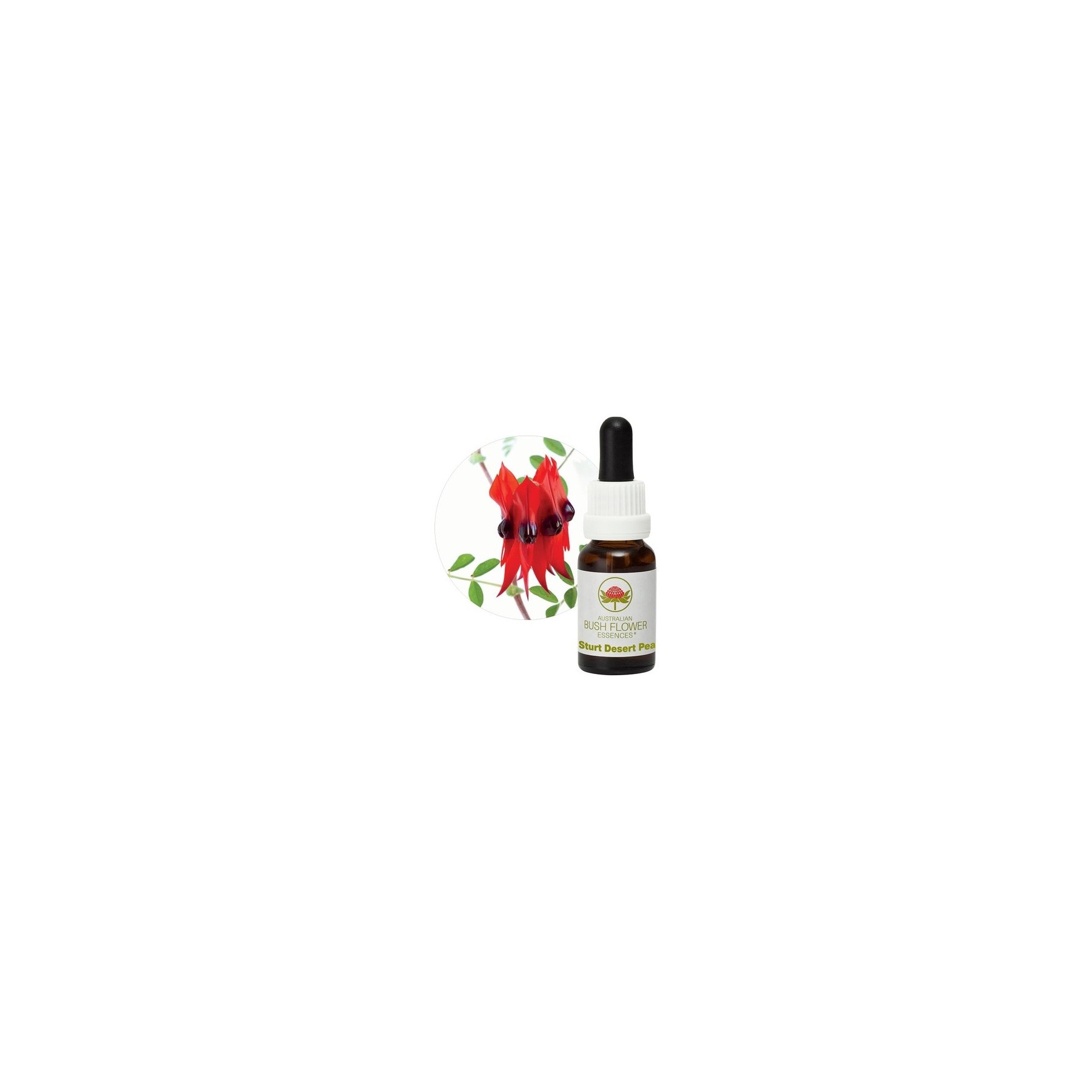 Sturt Desert Pea 15ml Stockbottle Australian Bush Flower Essences