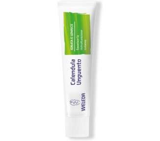 Calendula Ointment Normalizing Useful In Case Of Injury 25g