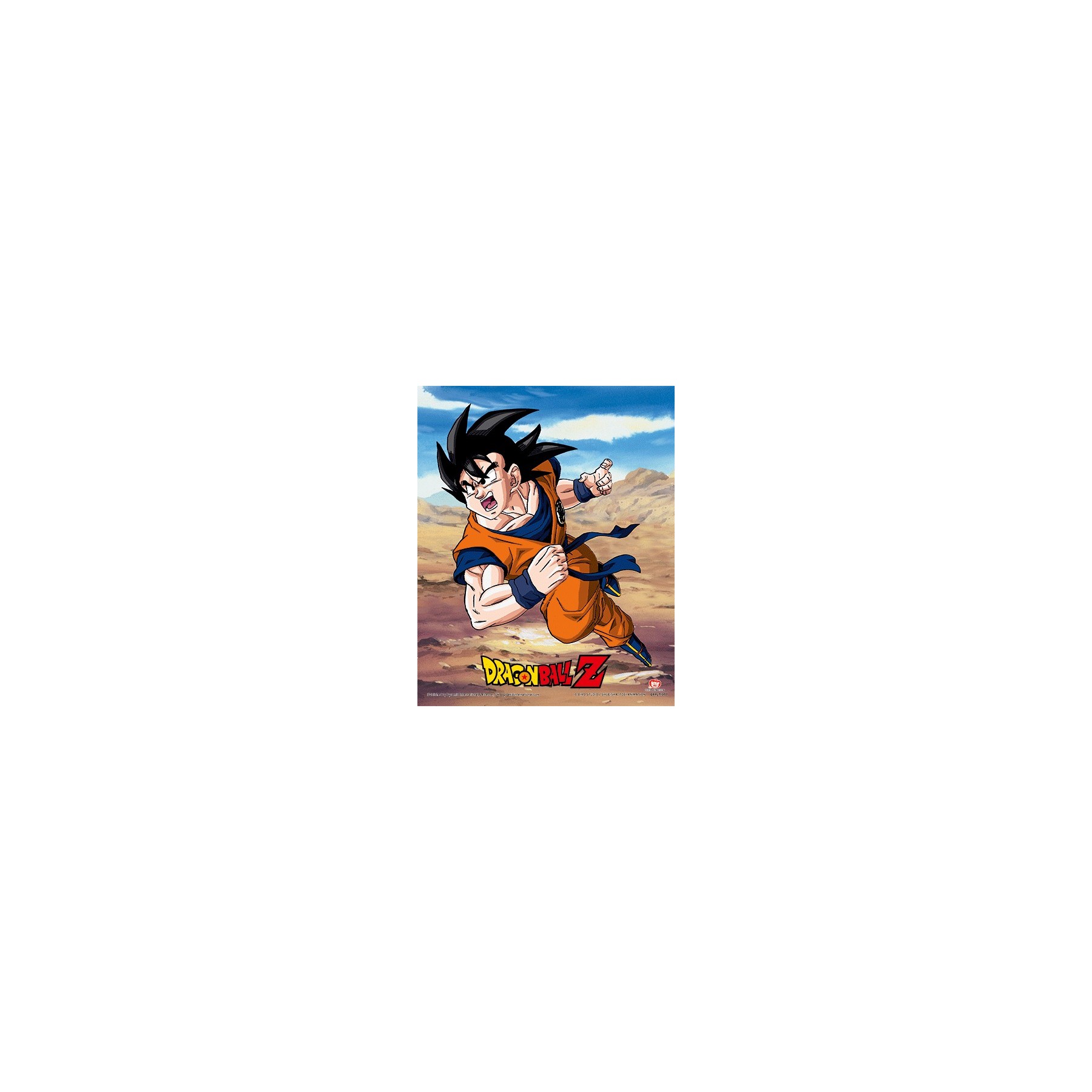POSTER 3D DRAGON BALL Z RIVALRY OF POWER