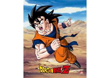 POSTER 3D DRAGON BALL Z RIVALRY OF POWER