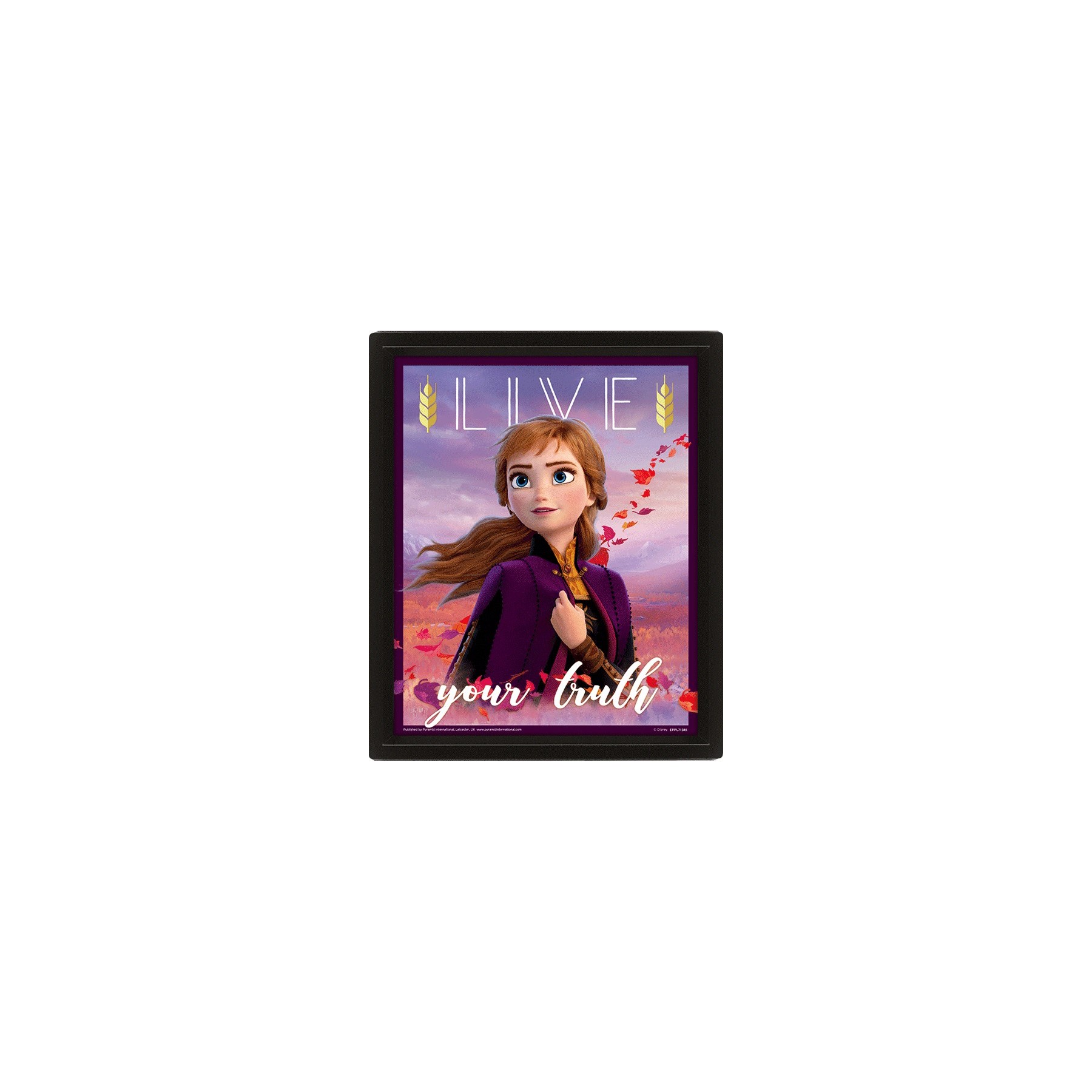 POSTER 3D DISNEY FROZEN 2 POSTER 3D DISNEY FROZEN 2