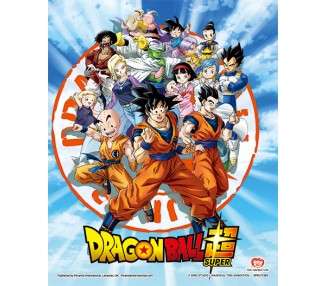 POSTER 3D SUPER DRAGON BALL (GOKU & THE Z FIGHTERS)