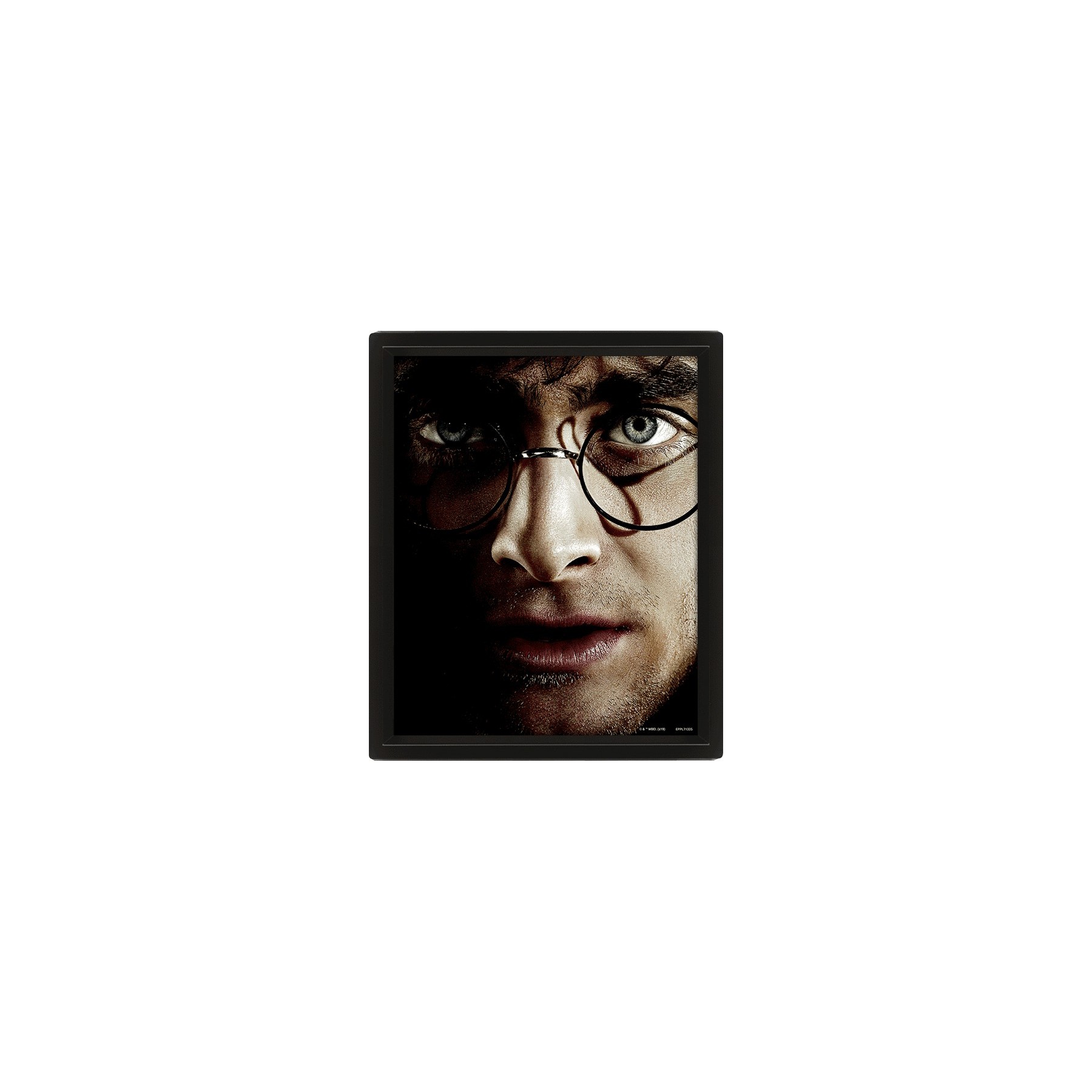 CUADRO 3D HARRY POTTER (HARRY/VOLDEMORT)