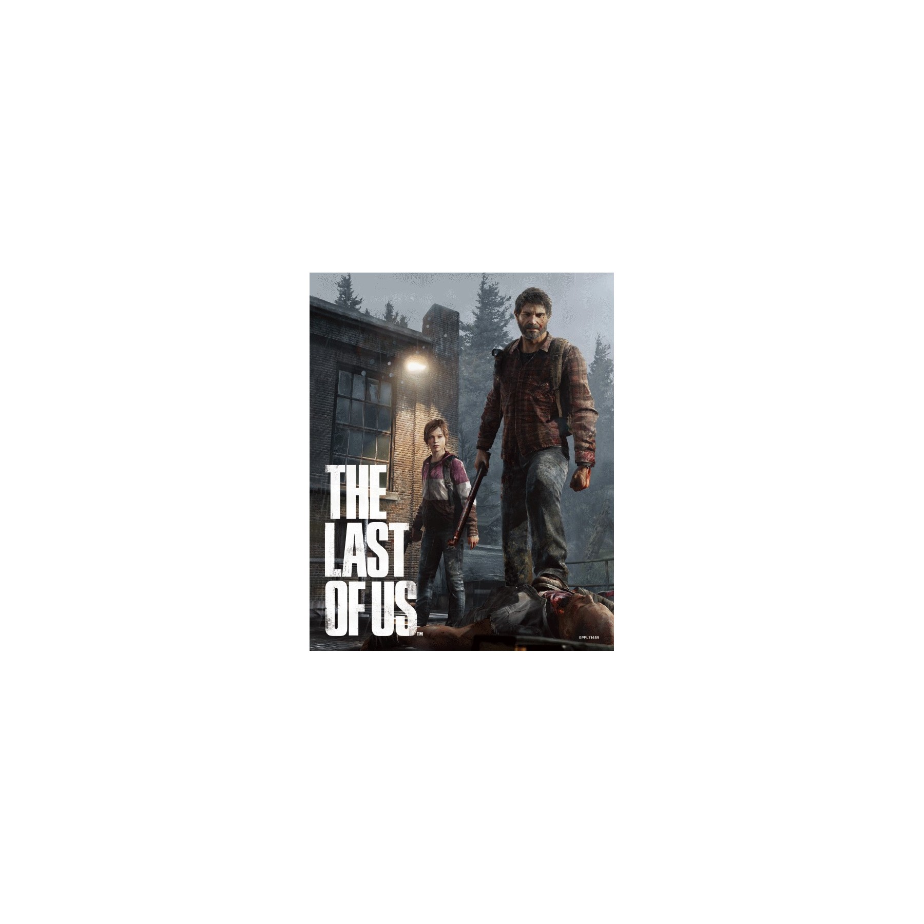 POSTER 3D THE LAST OF US