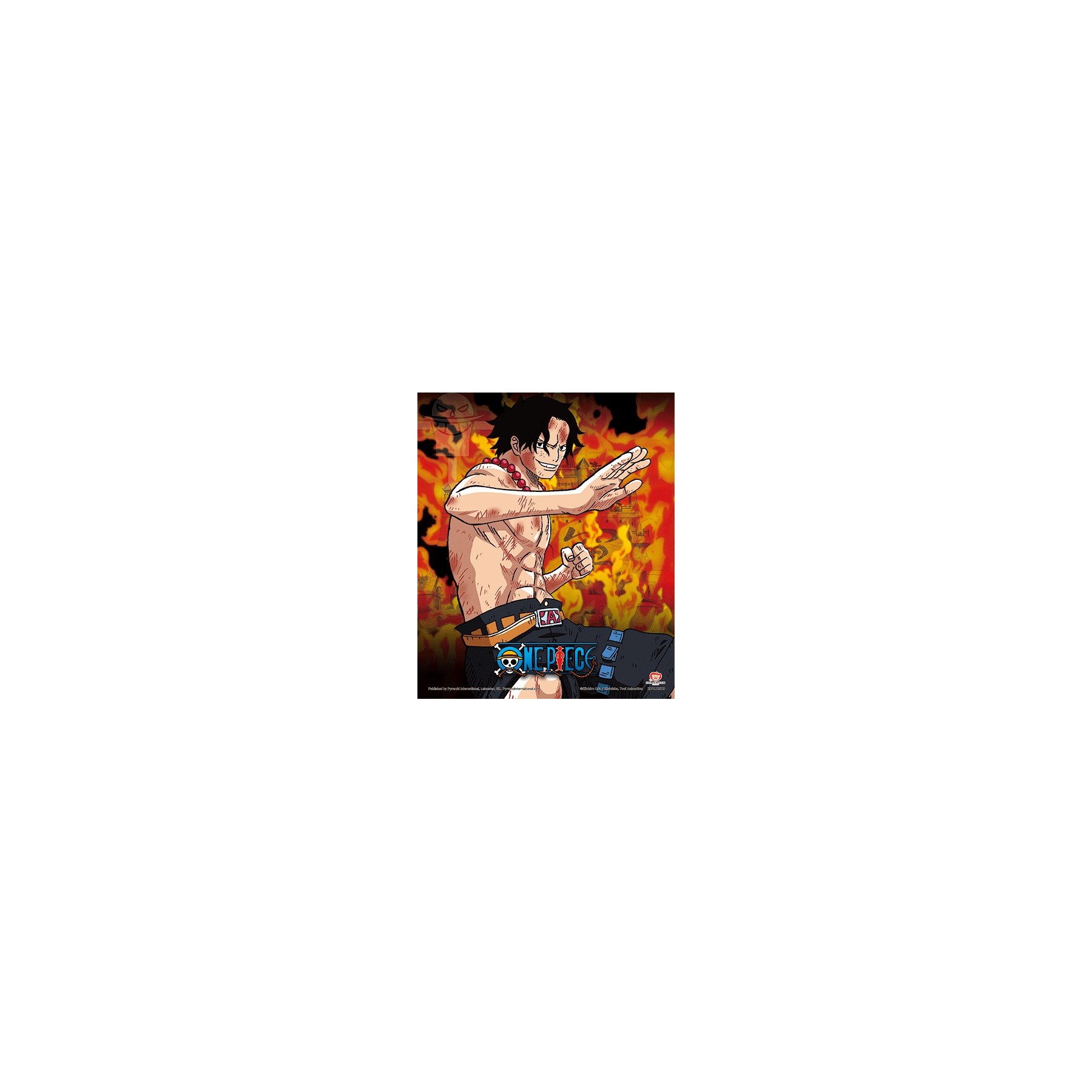 CUADRO 3D ONE PIECE (BROTHERS BURNING RAGE)