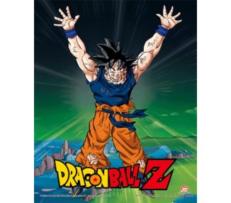 POSTER 3D DRAGON BALL Z POWER LEVELS INCREASED