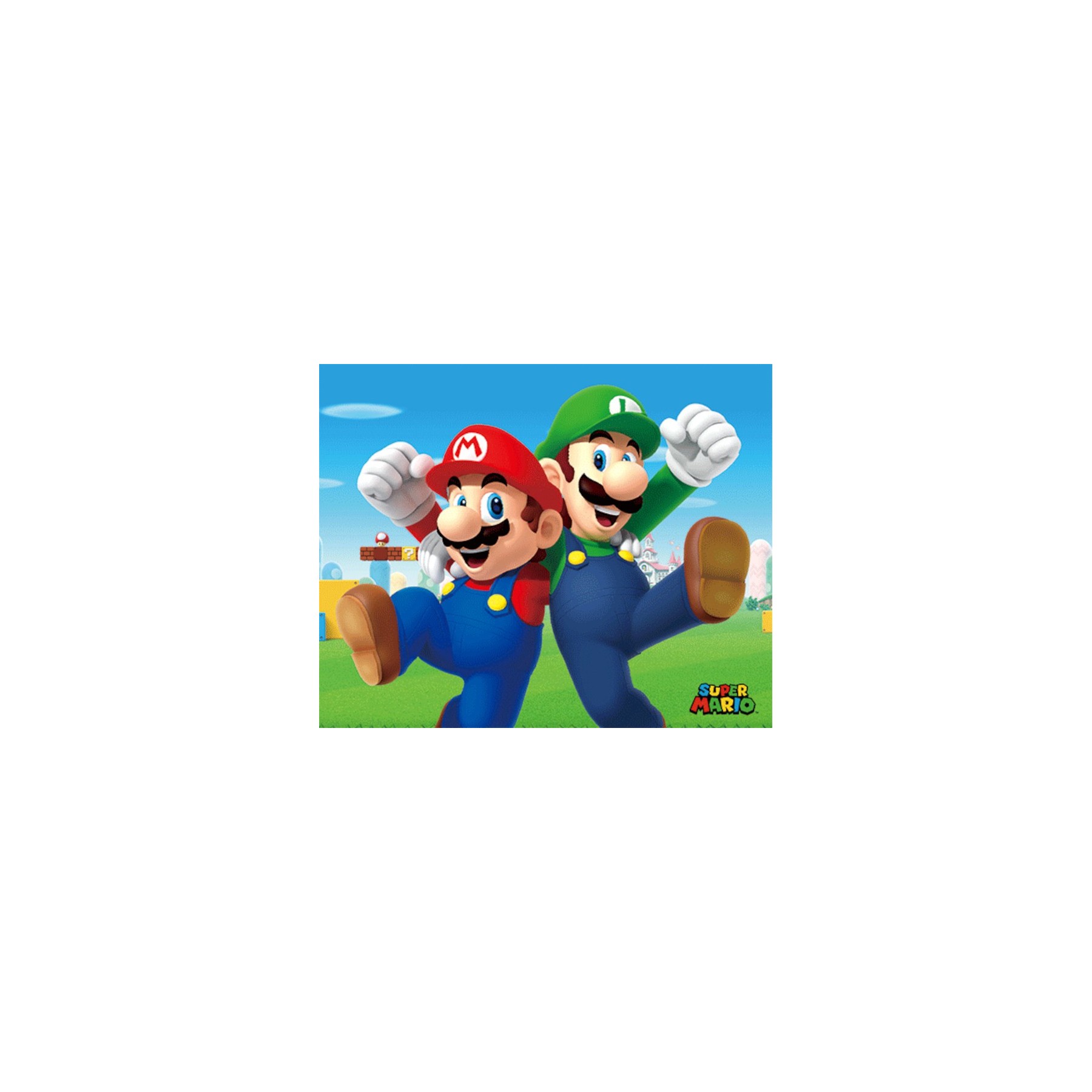 POSTER 3D SUPER MARIO - MARIO & LUIGI POSTER 3D SUPER MARIO - MARIO & LUIGI