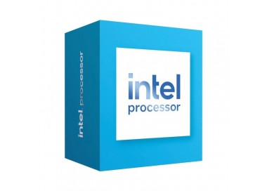 Intel 300 Dual Core 39GHz LGA 1700 BOX