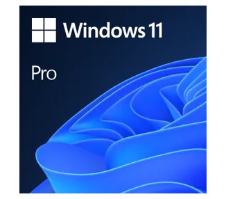 Windows 11 pro 1 licencia 64