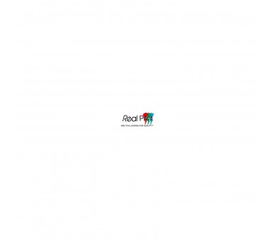 Tinta Compatible Brother Real Print Lc960/970/1000 Magenta