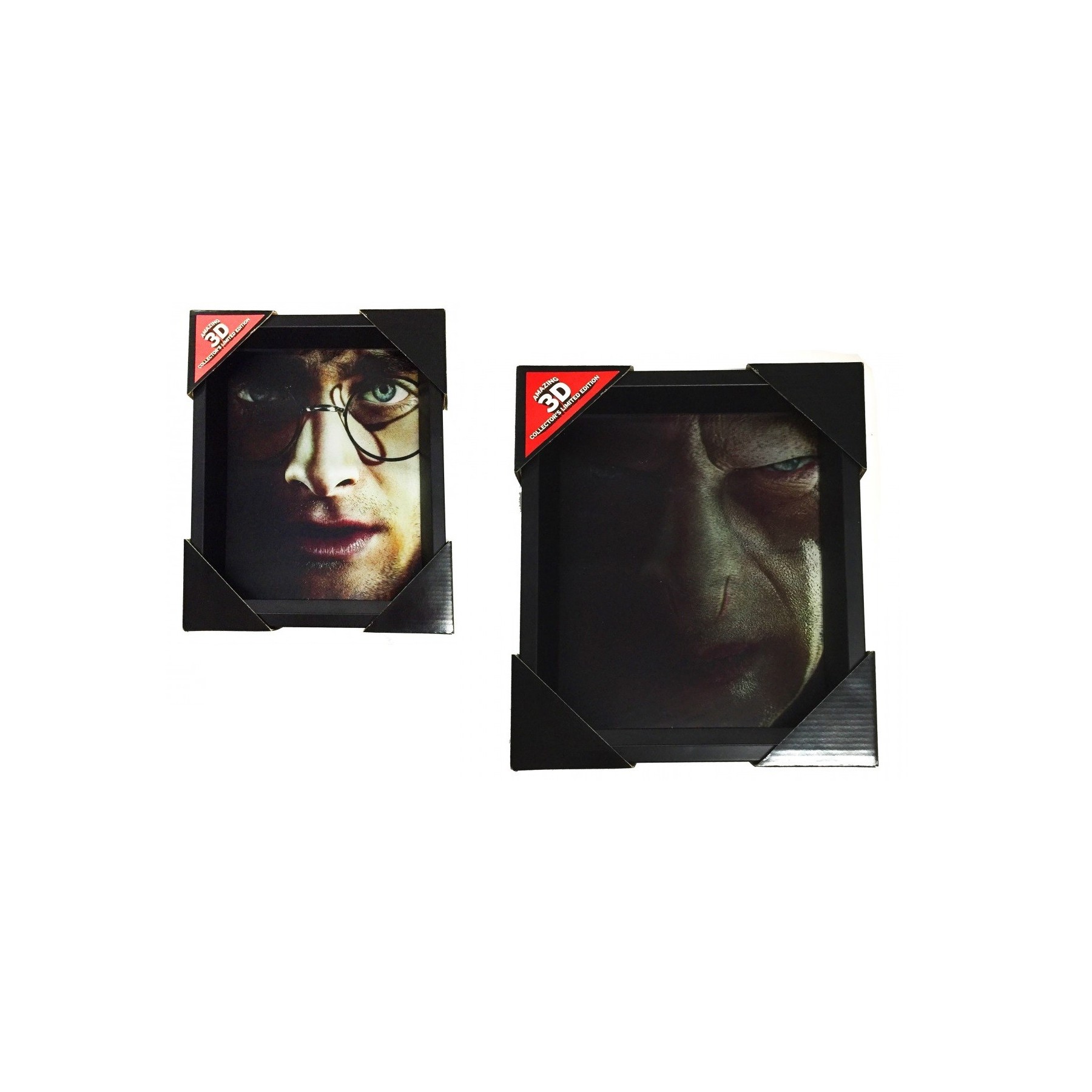 Poster 3D Harry Potter Harry / Voldemort