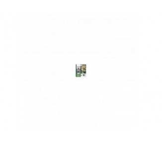 Cartucho Tinta Epson C13T12834012 Magenta 3.5Ml