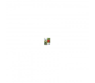 Cartucho Tinta Epson 29 C13T29814012 Negro