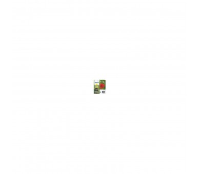 Cartucho Tinta Epson 29Xl C13T29944012 Amarillo