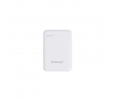 Powerbank Intenso Xs10000 10000Mah Usb Tipo