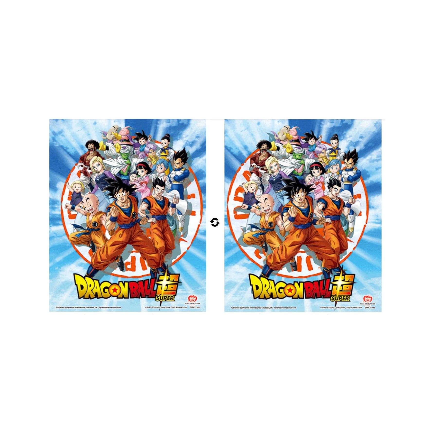 Poster 3D Dragon Ball Z Goku & The Z Fighters