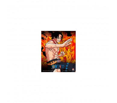 Cuadro 3D One Piece - Brothers Burning Rage