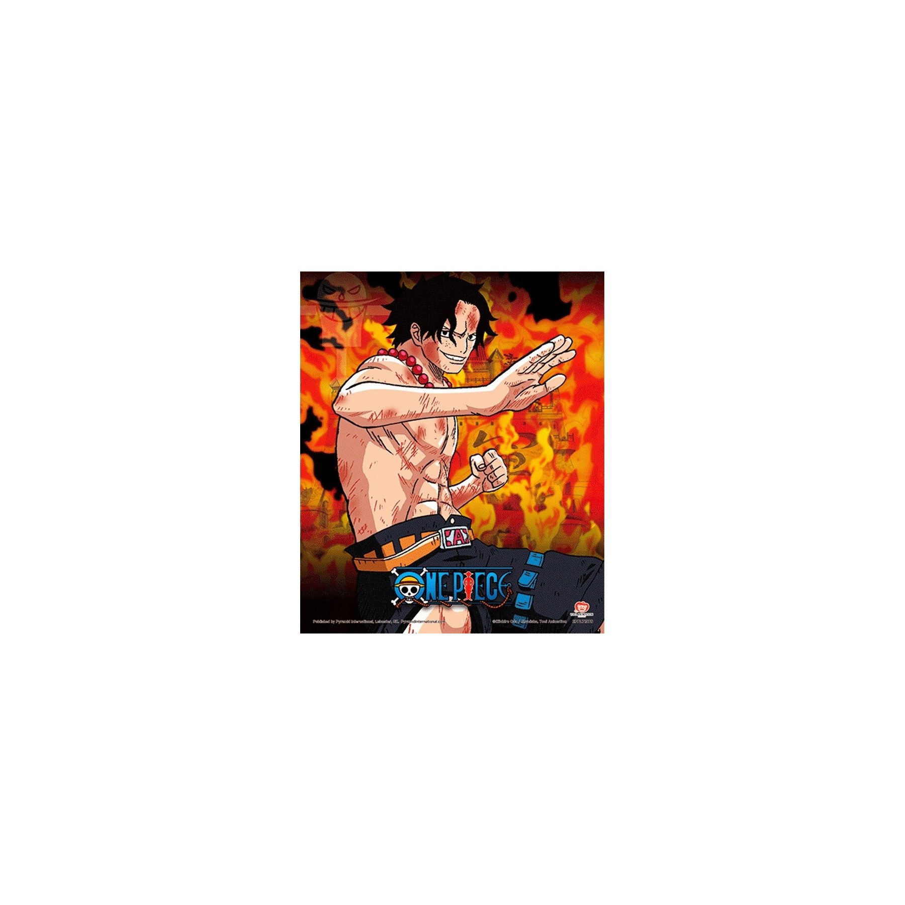 Cuadro 3D One Piece - Brothers Burning Rage