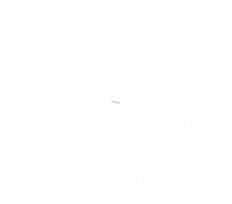 Patch Panel Lanberg Cat.6 Utp 24 Puertos 0.5U Rack 19 Gris