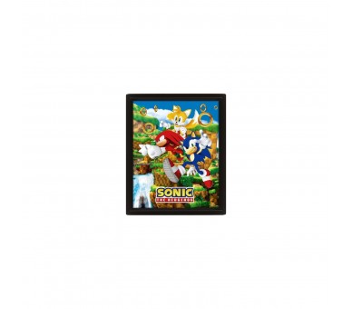 Poster 3D Sonic The Heggehod Anillos De Enganche