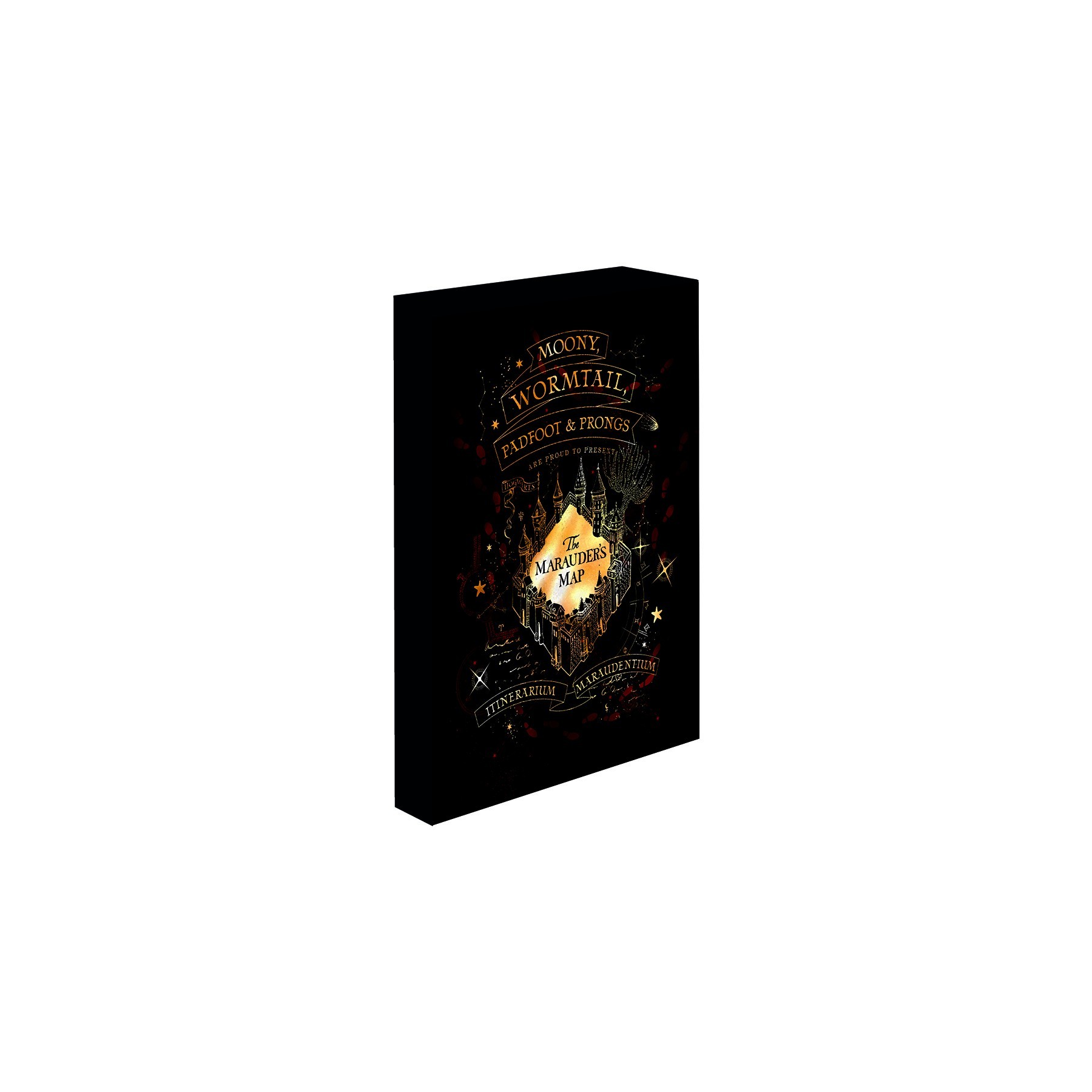 Lienzo con Iluminacion Harry Potter Marauders Map 30X40