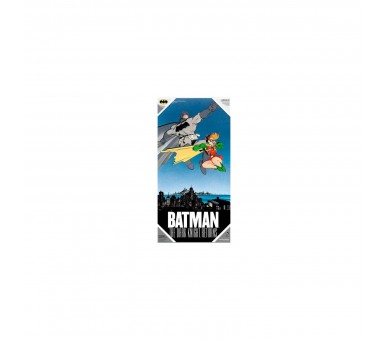 Poster Cristal Batman Y Robin Dc Comics