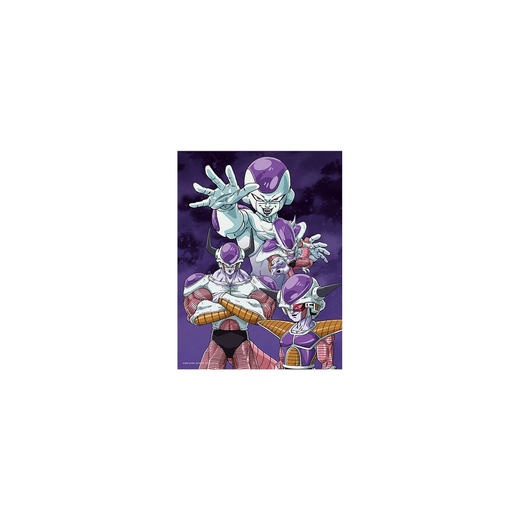 Poster Cristal Frieza Transformaciones Dragon Ball Z