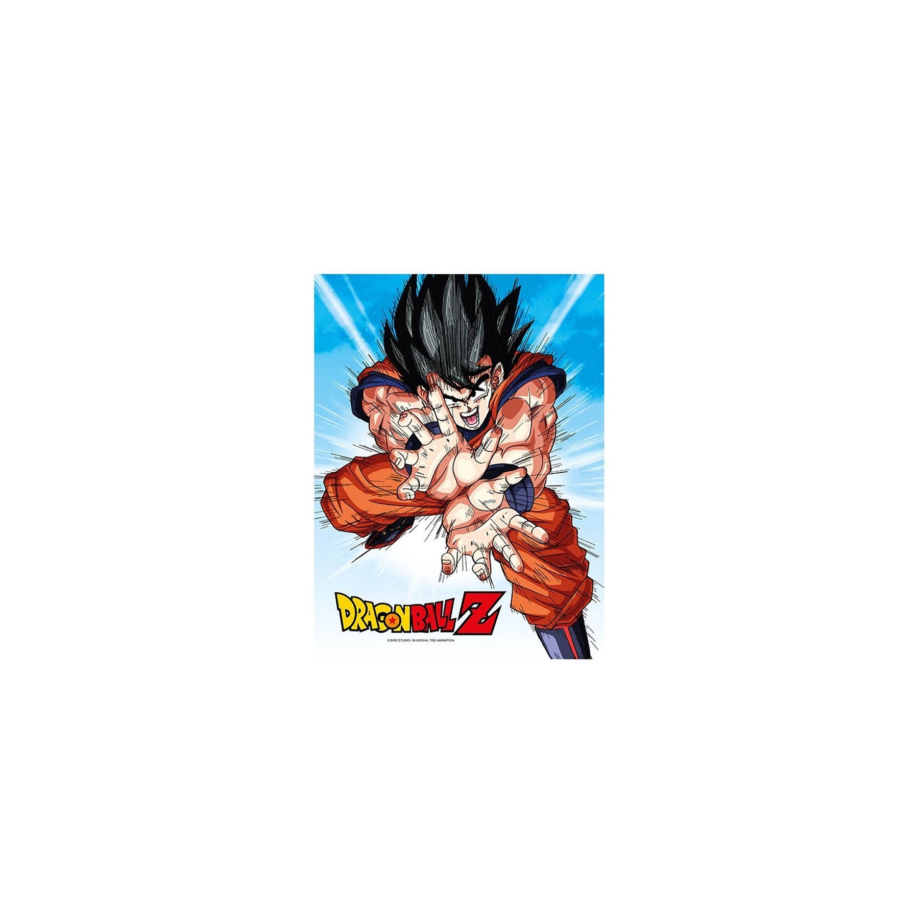 Poster De Vidrio Dragon Ball Z Goku Kame
