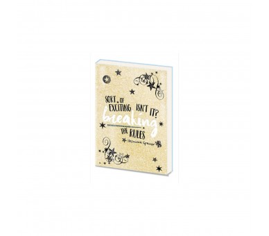 Cuaderno A5 Pvc Harry Potter (Hermione)