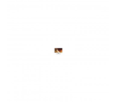 Monitor Gaming 24" Nilox Nxm24Fhd1441 Fhd 165Hz Hdmi-D