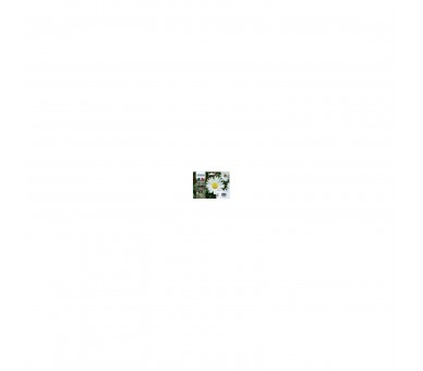 Multipack Tinta Epson T180640 N - C - M - A Xp - 102 - 205 -