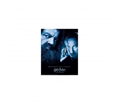 Mini Poster El Prisionero De Azkaban - Harry Potter
