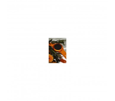 Smartwatch Forever Colorum Cw-300/ Notificaciones/ Frecuenci