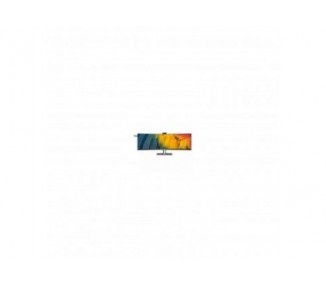 Monitor Profesional Curvo Philips 45B1U6900Ch 44.5"/ Dual Qh