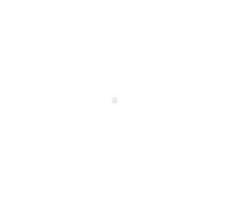 Powerline Mini Strong Powerlwf1000Duomini