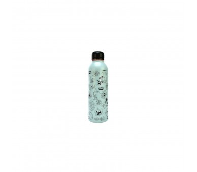 Botella De Agua Personajes Looney Tunes 750 Ml. Acero