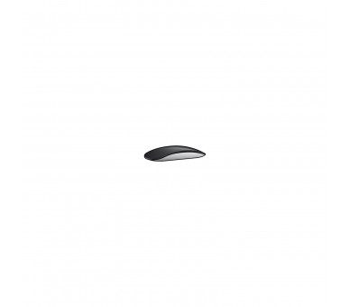Apple Magic Mouse 2 / Usb Tipo-C / Negro