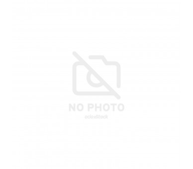 Iman Torneo Dragon Ball