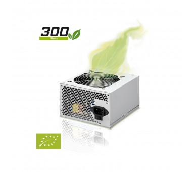 Fuente De Alimentacion Phoenix 300W Atx P4 Ready  Ventilador