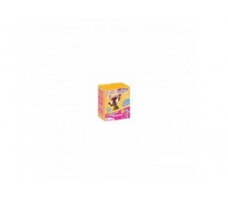Playmobil Everdreamerz Edwina Candy World