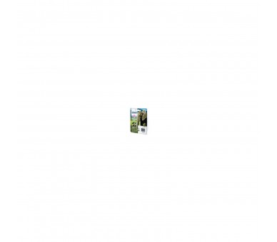 Cartucho Tinta Epson C13T24364012 Magenta Claro Xl Para Epso