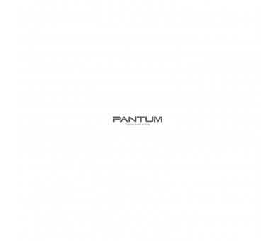 Pantum Toner Magenta (1500 Paginas) Cp2200Dw, Cm2200Fdw