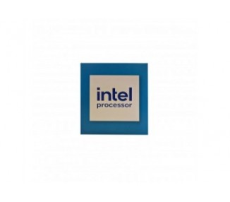 Intel 300 Dual Core 3.9Ghz Lga 1700 Box