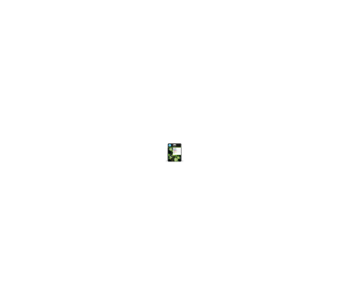 Pack Hp Tinta 4 Colores Cmyk