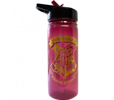 Botella Hogwarts Harry Potter 600ml