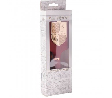 Cepillo pelo Harry Potter